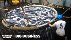 7 Of The Most Faked Seafoods In The World
