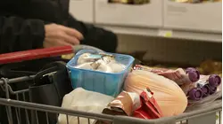Still shocked at your grocery bill? Here's why prices aren't coming down