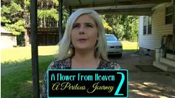 A Flower From Heaven 2