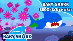 Baby Shark Brooklyn Ep.6