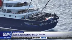 Officials rushing to trace passengers who left cruise ship before virus detected