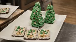 Christmas Family Fun