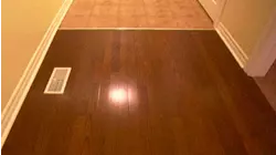 Twice Bitten