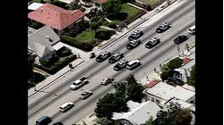 World's Wildest Police Videos