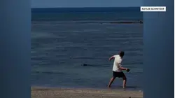 Man Federally Charged for Hurling Rock at Endangered Monk Seal