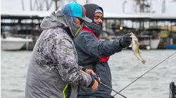 Springtime Spots with Brian Latimer