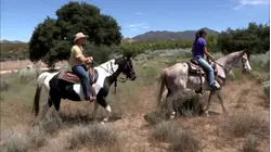 Horseback Riding