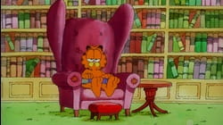 Garfield and Friends