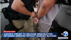 Court temporarily blocks release of hundreds arrested in 'Blitz'