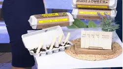 'The Right Stuff' on top gardening picks for summer