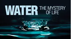 Water the Mystery of Life