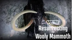 Vice | Resurrecting the Wooly Mammoth