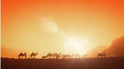 Lawrencde of Arabia: For a Fistful of Sand