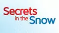 Secrets In The Snow