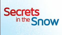 Secrets In The Snow