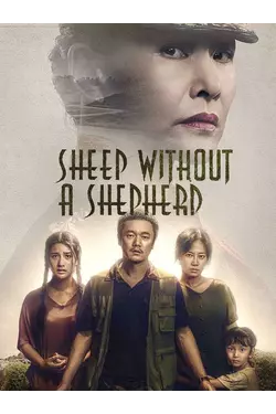 Sheep Without A Shepherd