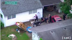 Kitten Rescue, And More