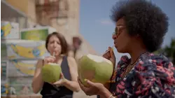 Little Caribbean