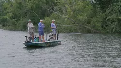 The Chickamauga GOAT