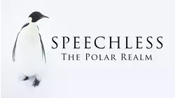 Speechless: the Polar Realm