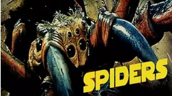 Spiders