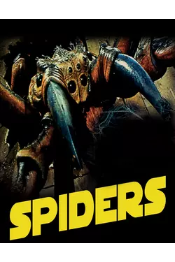 Spiders
