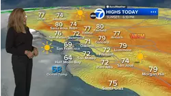 AccuWeather Forecast: Sunny, mild to warm on 1st day of November