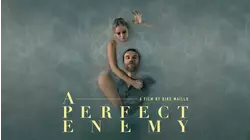 A Perfect Enemy
