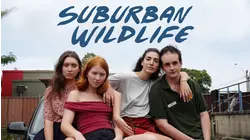 Suburban Wildlife