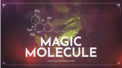 Magic Molecule