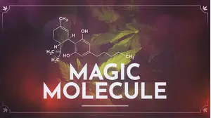 Magic Molecule