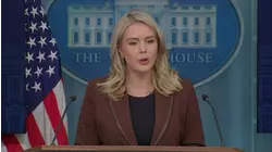 White House Press Secretary on Epstein emails: 'President Trump did nothing wrong'