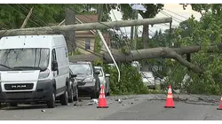 Severe thunderstorms take out trees and power lines in Colonia and Edison