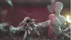 Eight-Legged Exorcism
