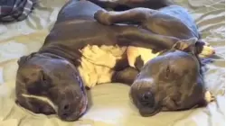 That's What Friends Aren't For