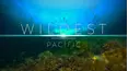 Wildest Places: Pacific