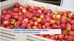 Made in New Jersey: Melick's Town Farm turns fall apples into cider magic