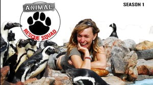 Animal Rescue Squad