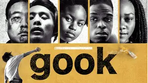Gook