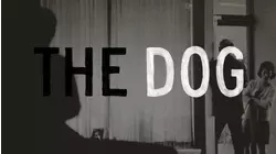 The Dog