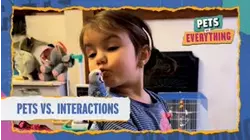 Pets VS. Everything | Pets VS. Interactions