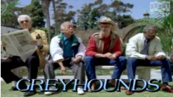 Greyhounds