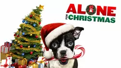 Alone for Christmas