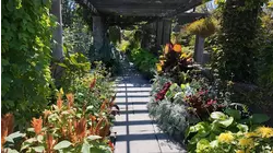 Gorgeous autumn plants at Wave Hill Public Garden & Cultural Center