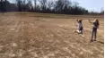 Animals Unscripted