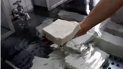 Soy
