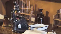 Mark Hales and Mark Stacey, Day 2