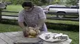 Life's Funniest Moments
