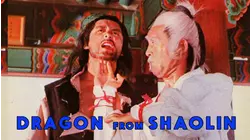 Dragon from Shaolin