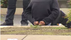 Teen stabbed at West Central Fresno park, police say